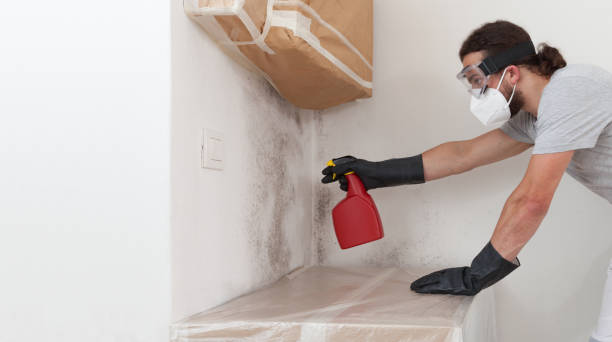 Professional Mold Remediation technician working in Islip, NY