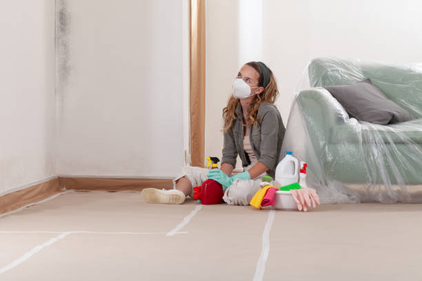 Reliable Mold Remediation contractor in Islip, NY by WQB Mold Removal